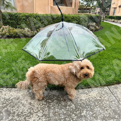 Transparent Pet Dog Umbrella