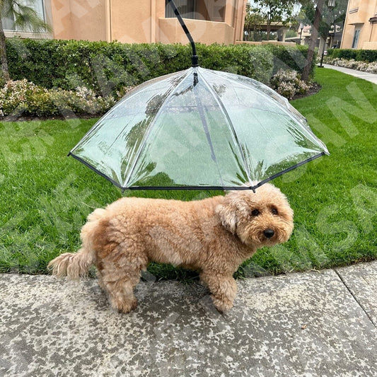 Transparent Pet Dog Umbrella